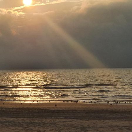 海牙Scheveningen Sea Side住宿加早餐旅馆 外观 照片