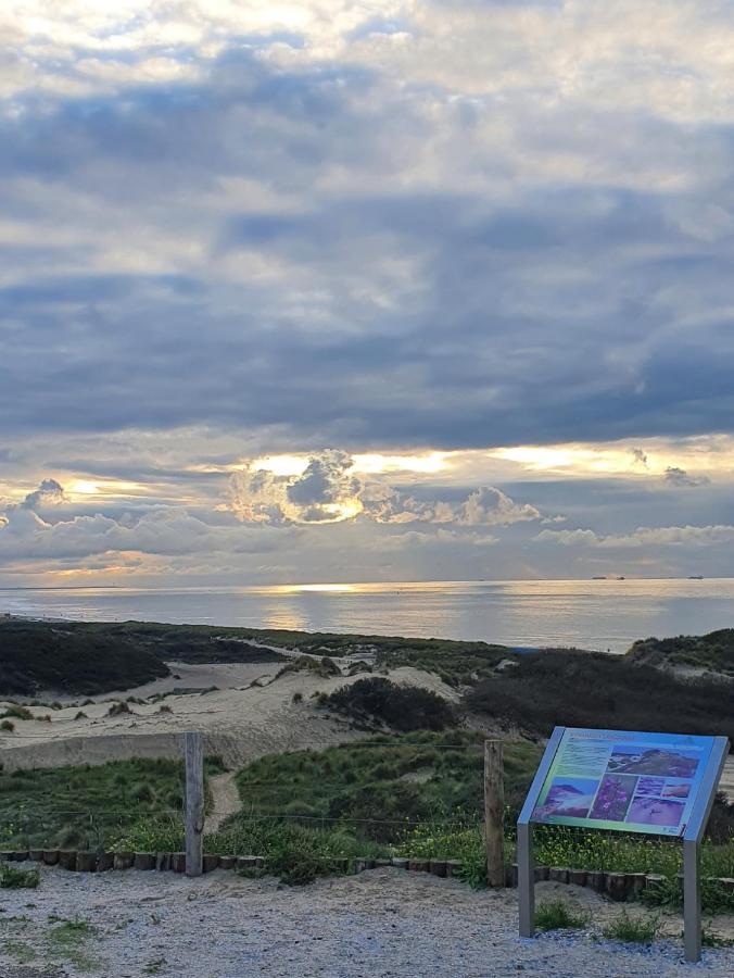 海牙Scheveningen Sea Side住宿加早餐旅馆 外观 照片