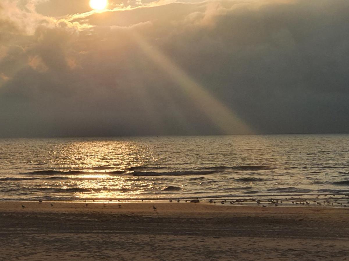 海牙Scheveningen Sea Side住宿加早餐旅馆 外观 照片